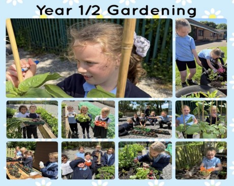 Image of Newsletter 19th June 2026