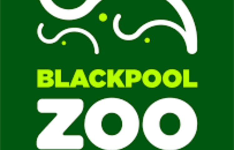 Image of Y1 Blackpool Zoo