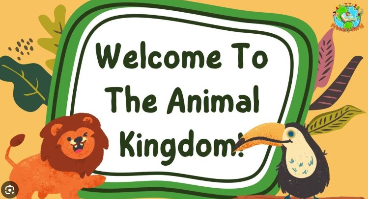 Image of Y1 Stay & Learn - Welcome to the Animal Kingdom