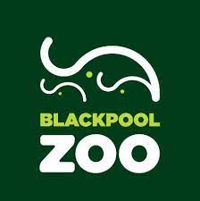 Image of Y1 Blackpool Zoo