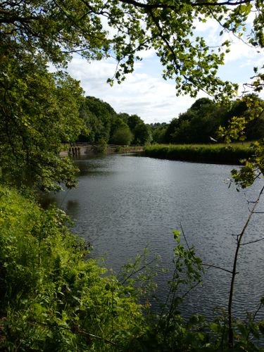 Image of Y4 Burrs Country Park - Geography