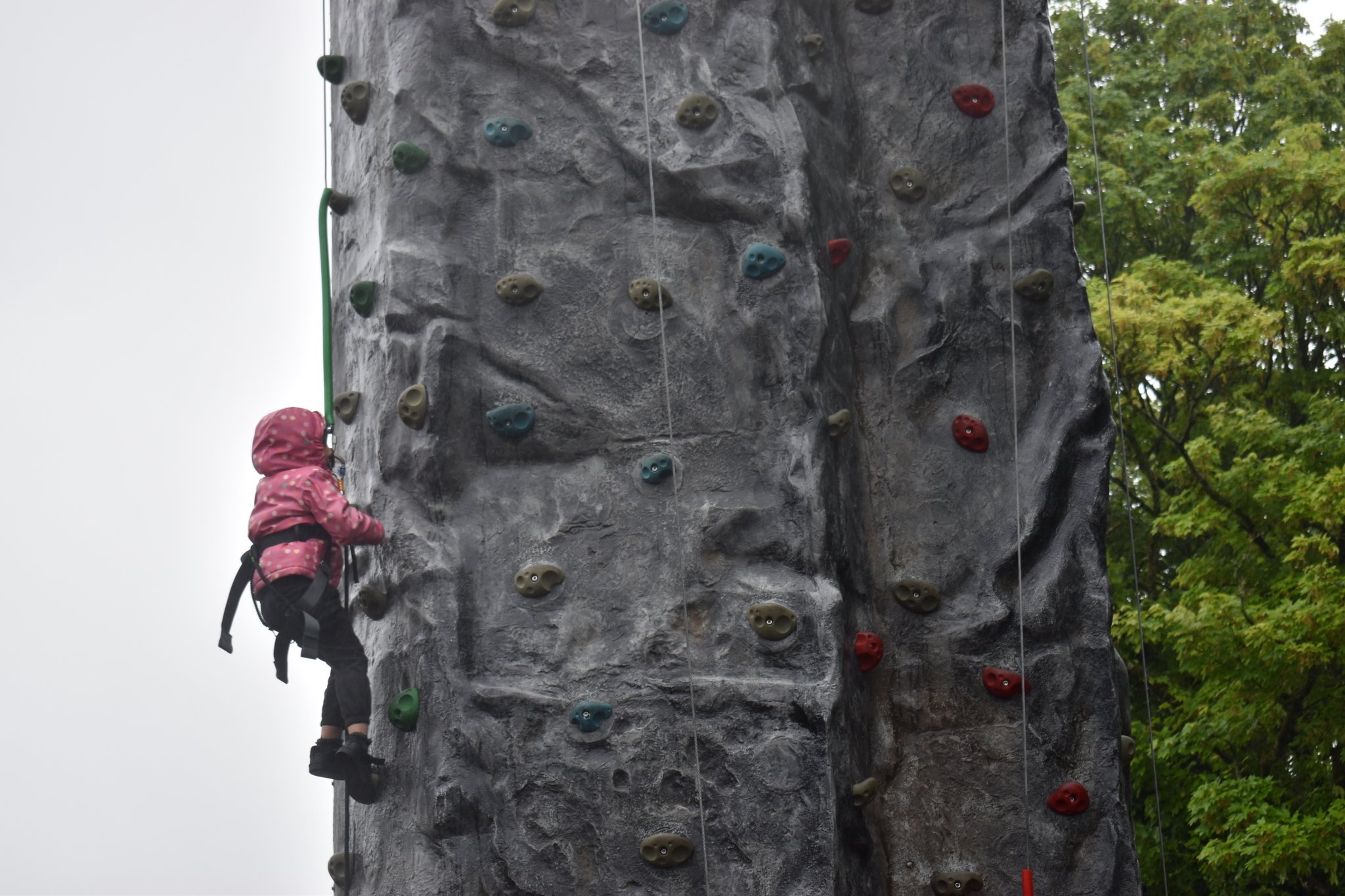 Image of EYFS & Y4 - Climbing Wall