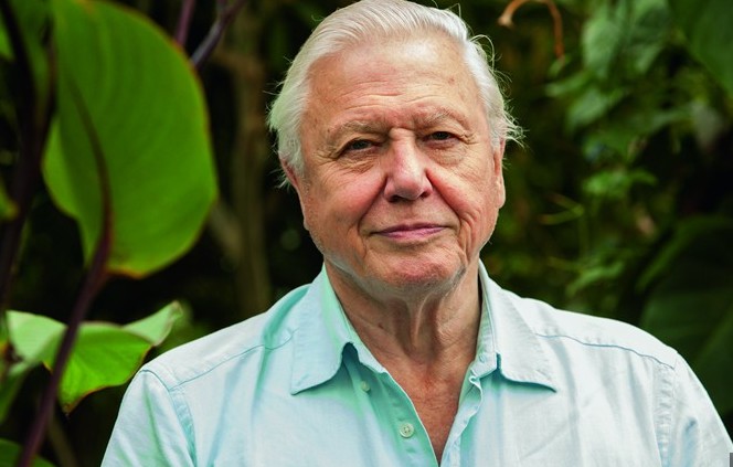 Image of Sir David Attenborough's 100th Birthday 