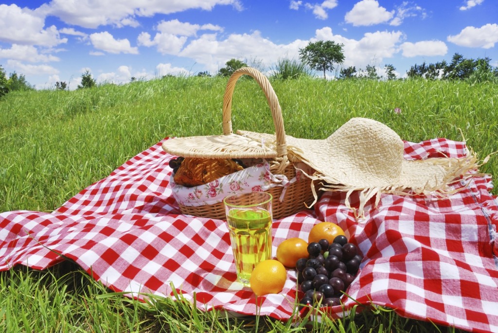 Image of EYFS Stay & Play - Summer Picnic