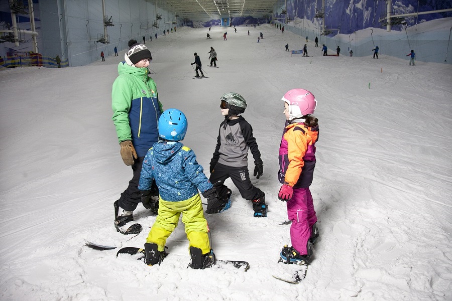 Image of Y6 Chill Factore - PE WOW