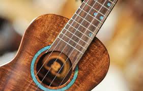 Image of Ukulele Concert - Ukulele club only