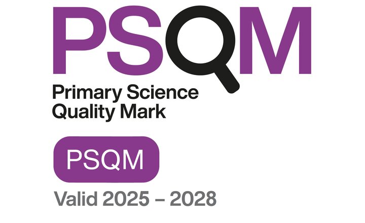 Image of We've been awarded the Primary Science Quality Mark