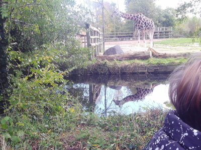 Image of Chester Zoo