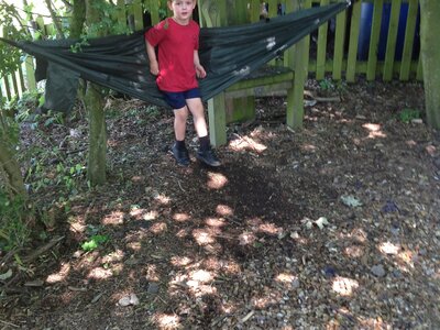 Image of Forest School