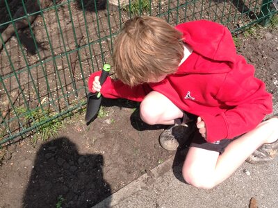 Image of Gardening