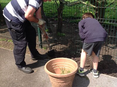 Image of Gardening