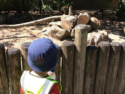 Image of Knowsley Safari Park