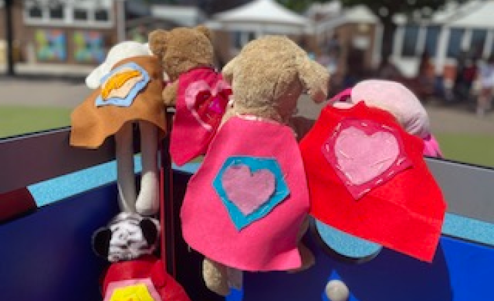 Image of Superhero Teddies