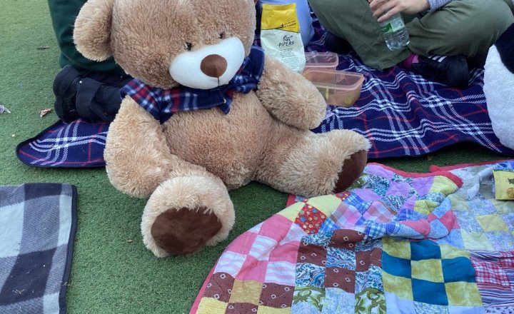 Image of Teddy Bear's Picnic