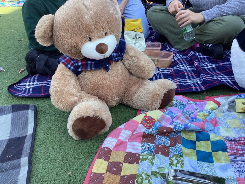 Image of Teddy Bear's Picnic