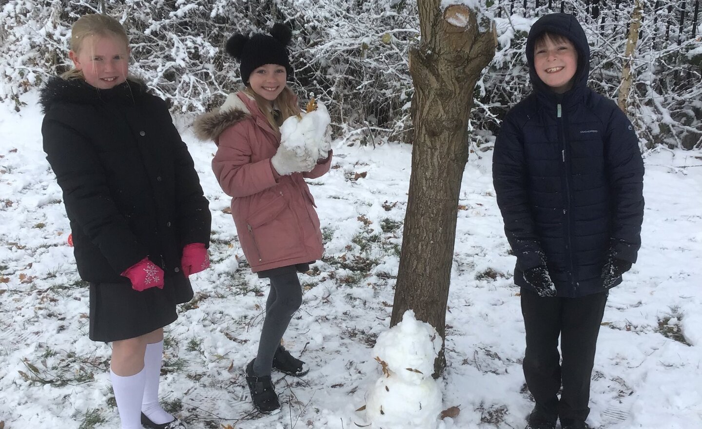 Image of Fun in the snow