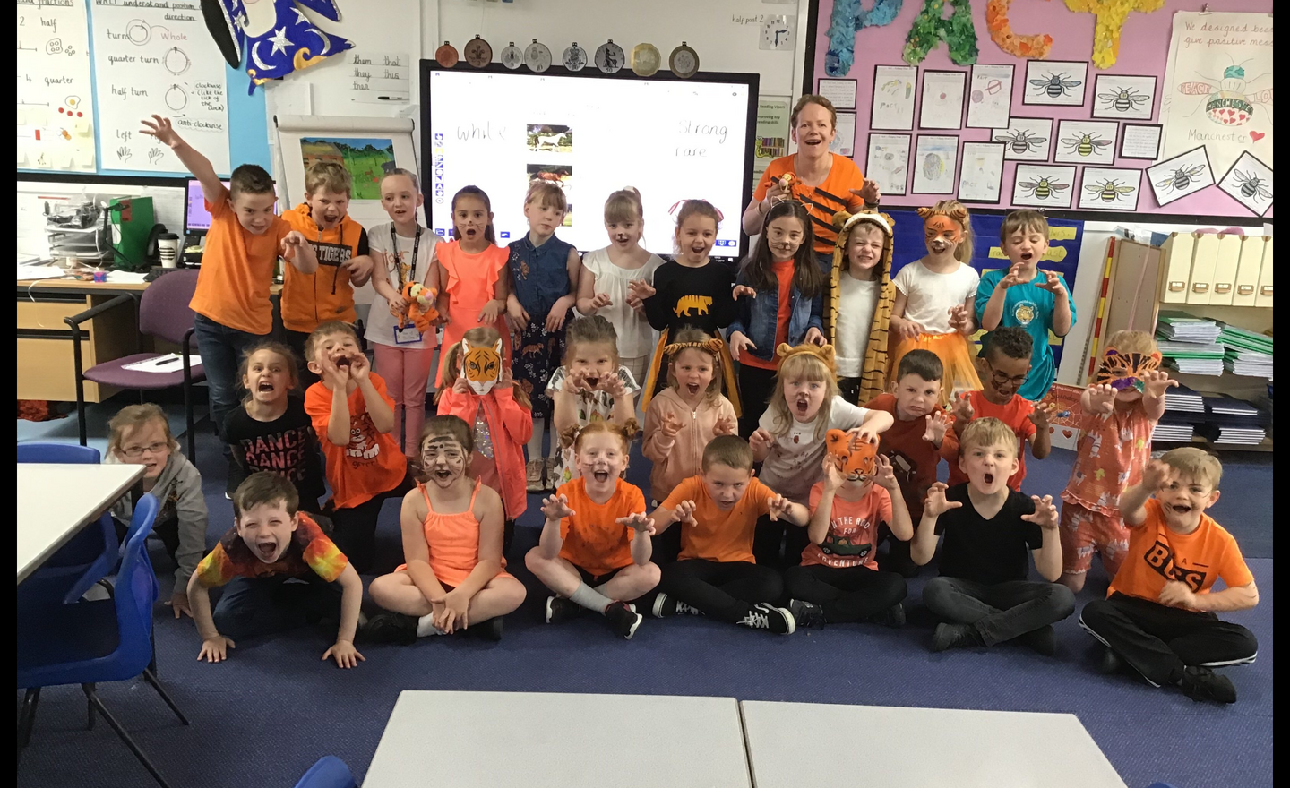 Image of Save the Tigers