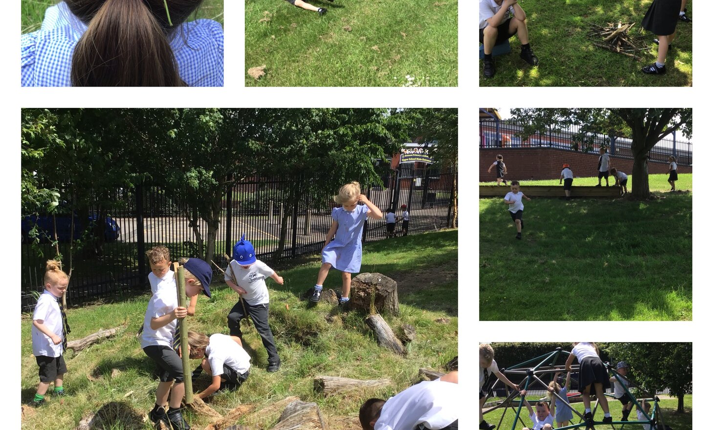 Image of Reception go wild on the wild side 