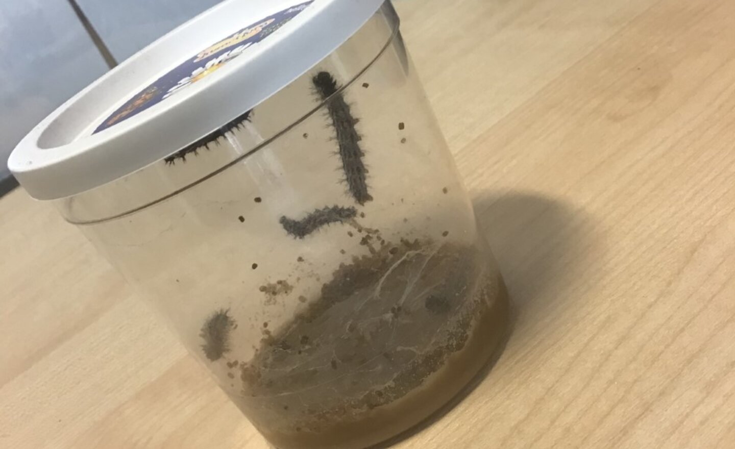 Image of Caterpillar News