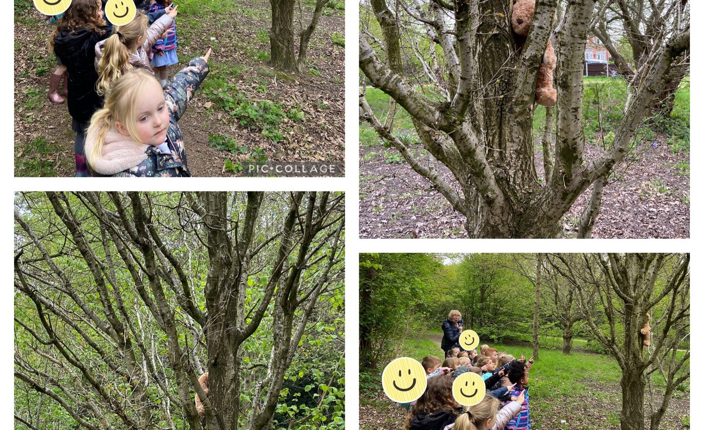 Image of We're Going on a Bear Hunt