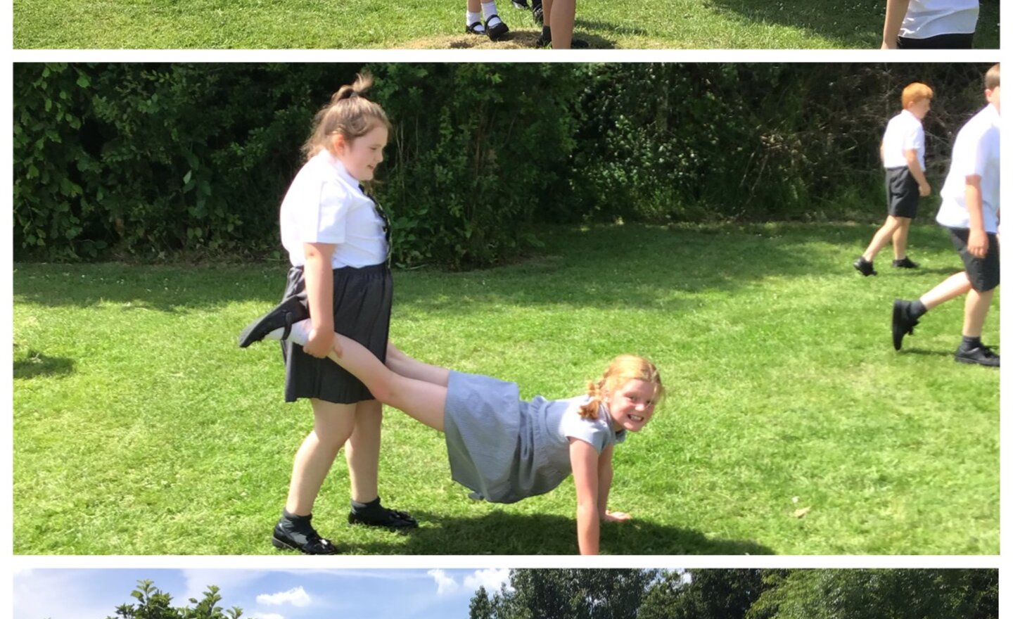 Image of Times Table Check Complete