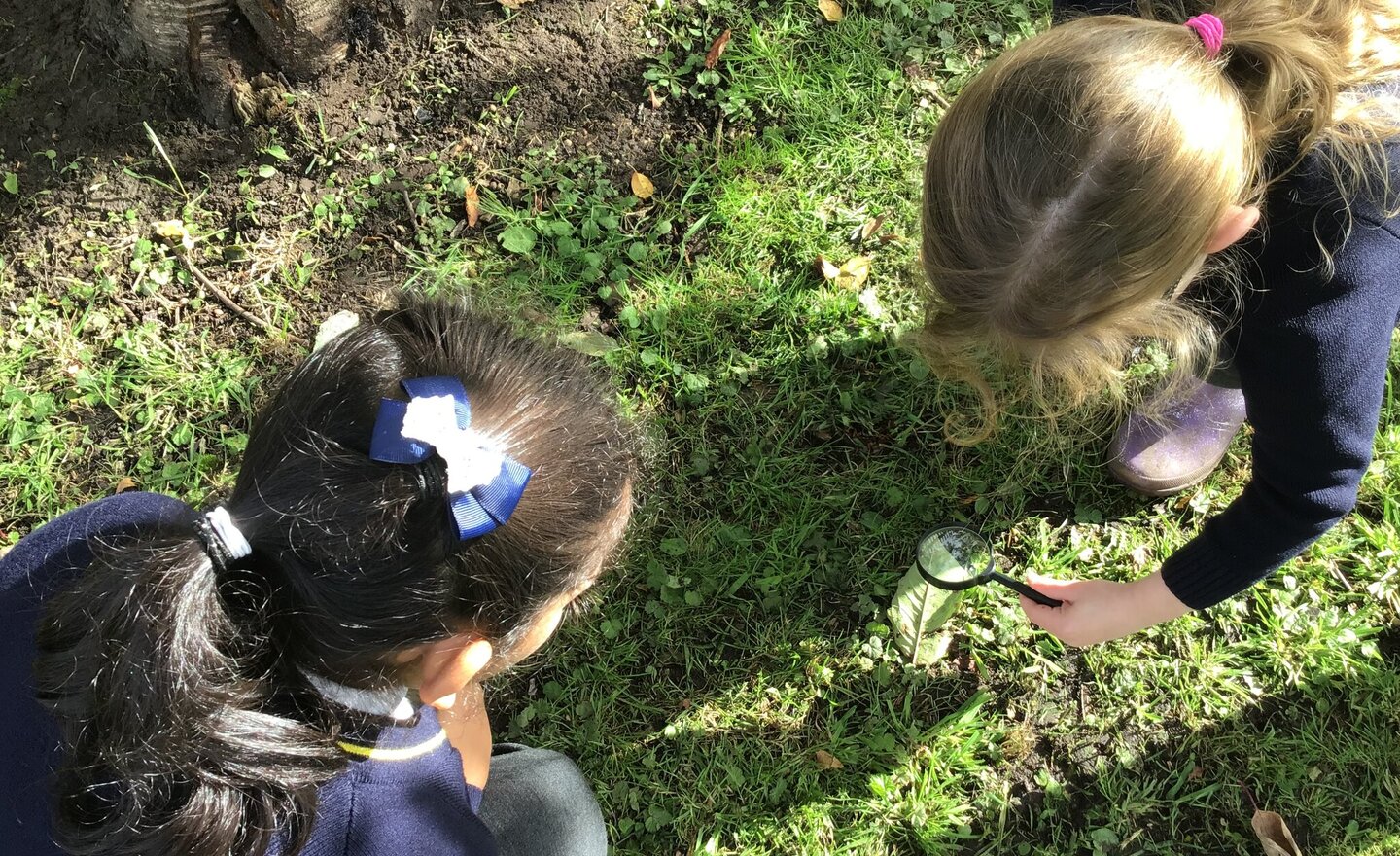 Image of Year 2 - Microhabitats