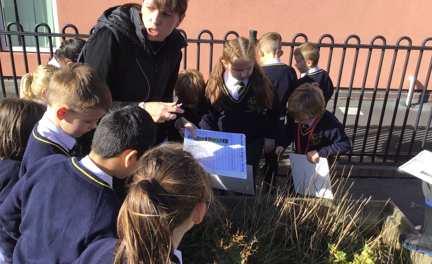 Image of Year 2 - Microhabitats 2