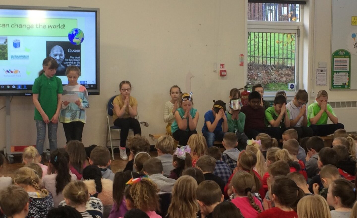 Image of Rowan’s rainforest assembly