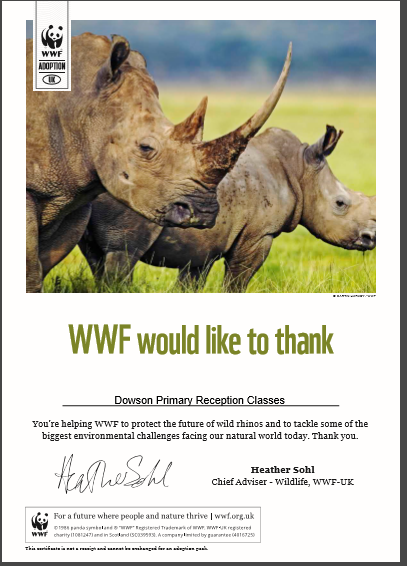 Image of Rhino update