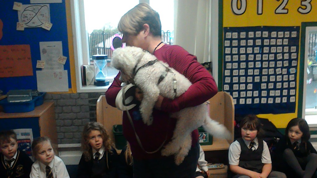 Image of 4 Legged Visitors