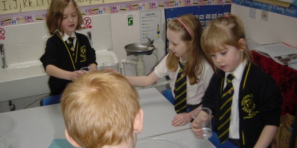 Image of Maths – halving