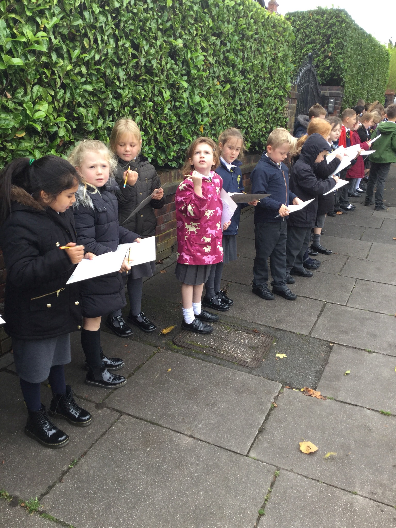 Image of Collecting data