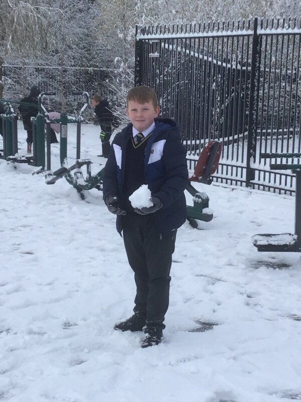 Image of Fun in the snow