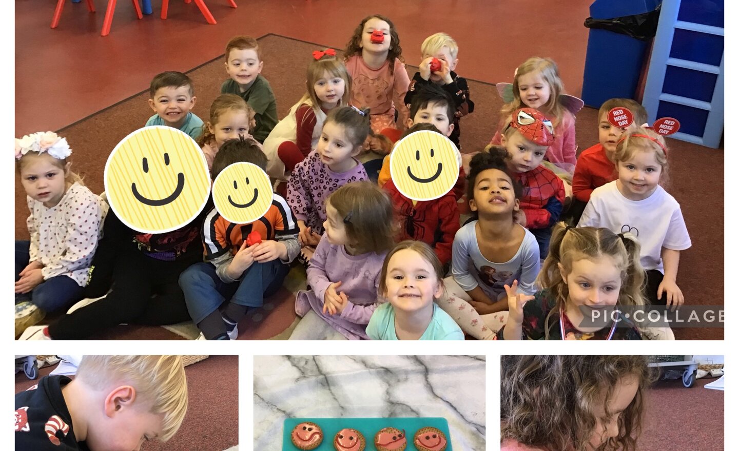 Image of Nursery Plum - Red Nose Day