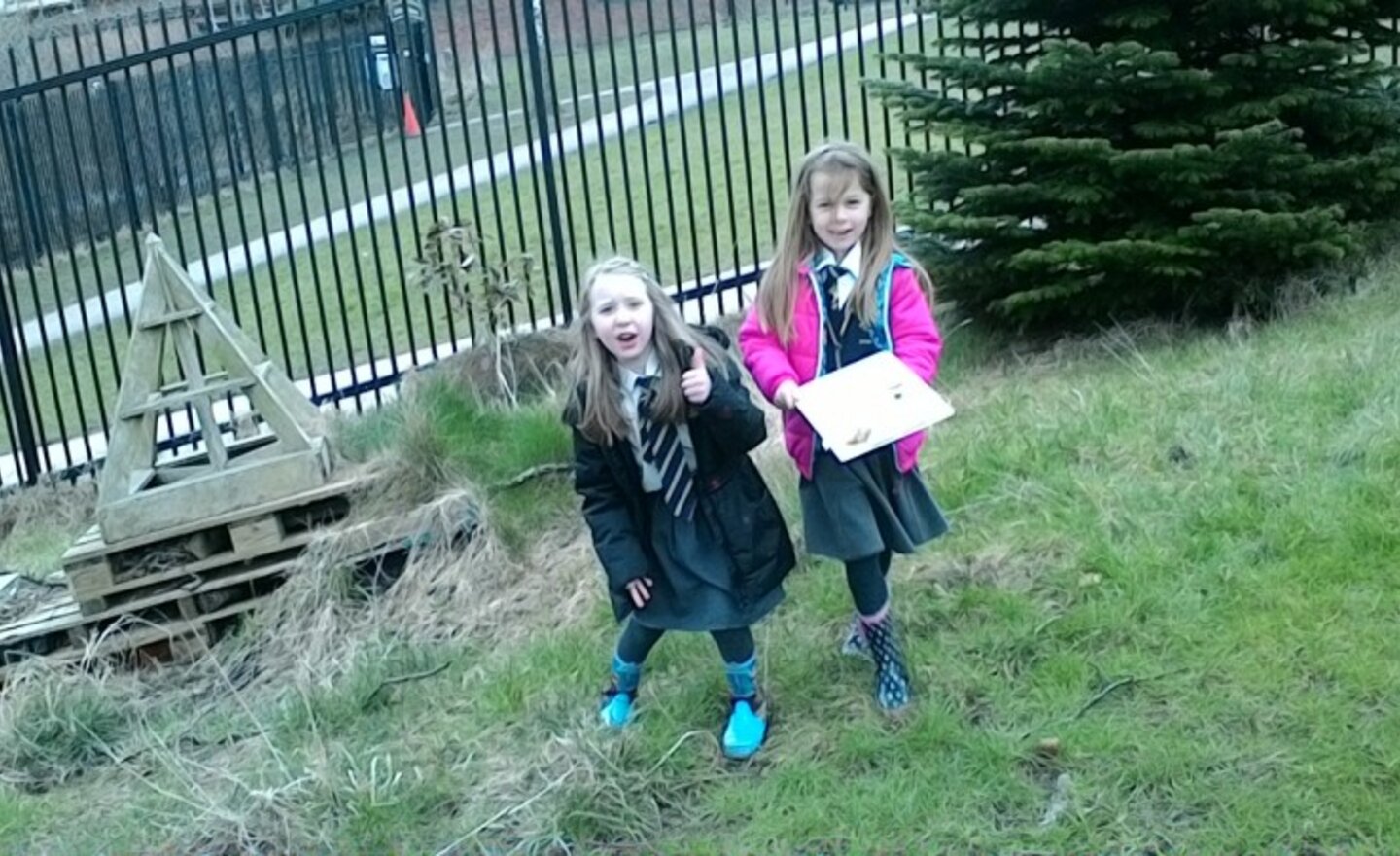 Image of We have been outside learning about trees in our environment.