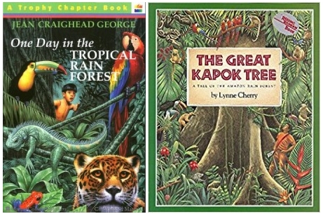 Image of Rainforest setting descriptions