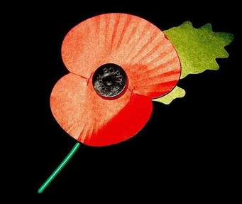 Image of Remembrance Day Display