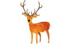 Image of Reindeer Visit