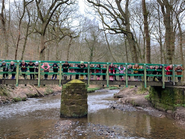 Image of A Walk in the Woods