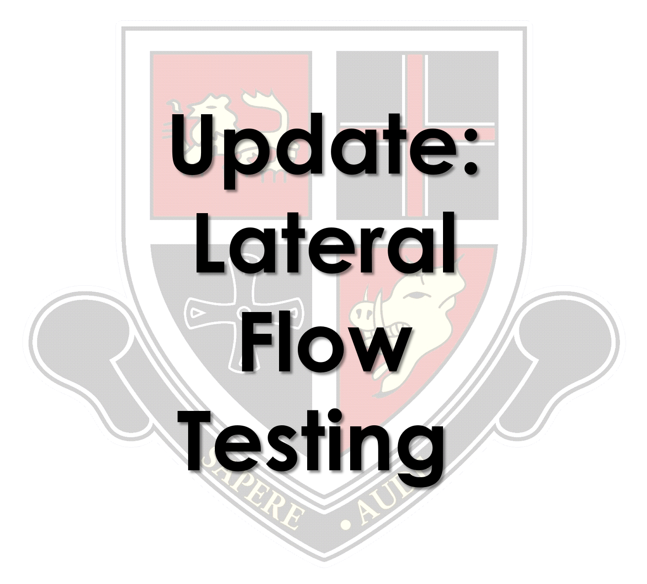 Image of Lateral Flow Testing for Year 7 Students still aged 11