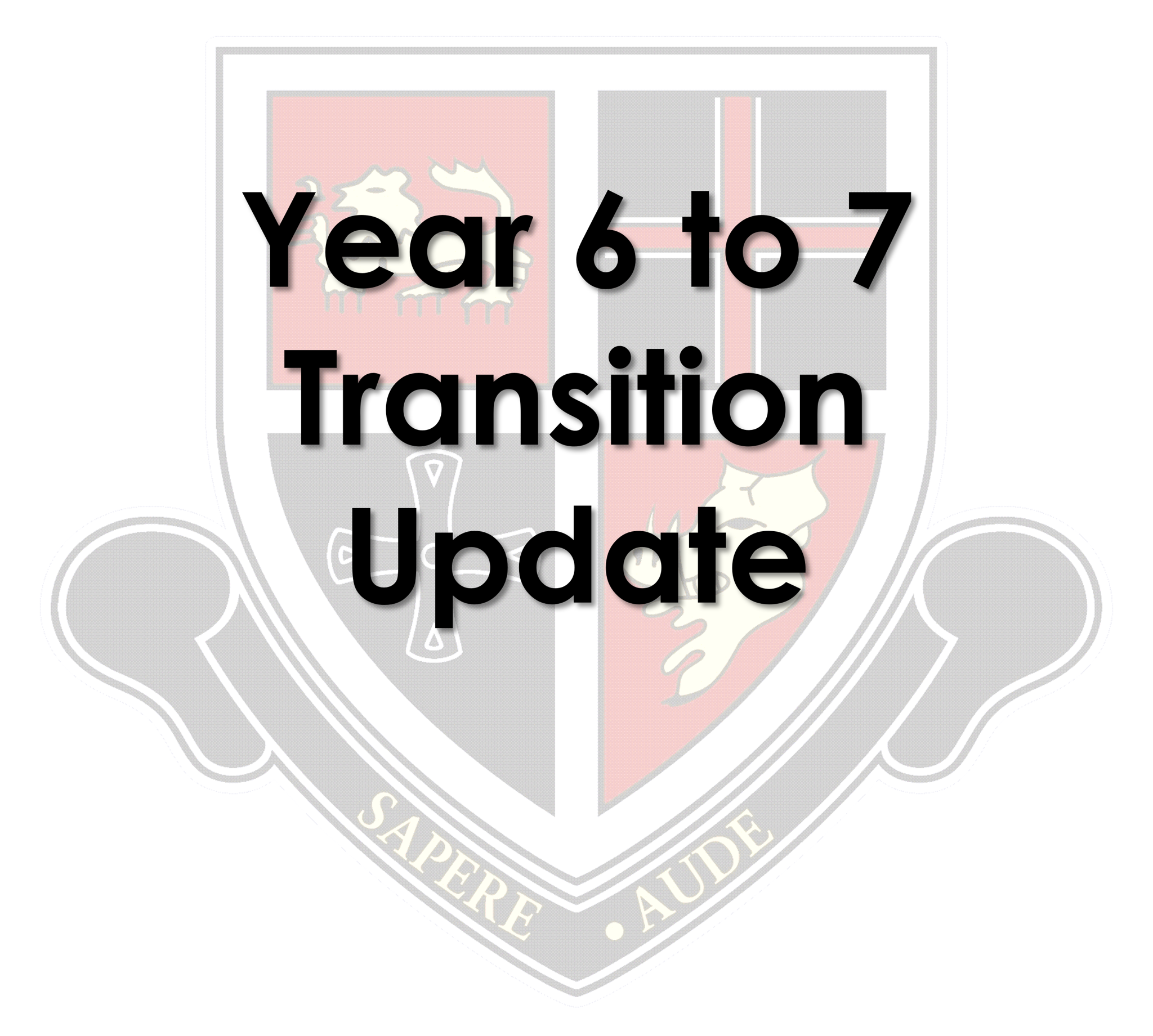 Image of Transition Update