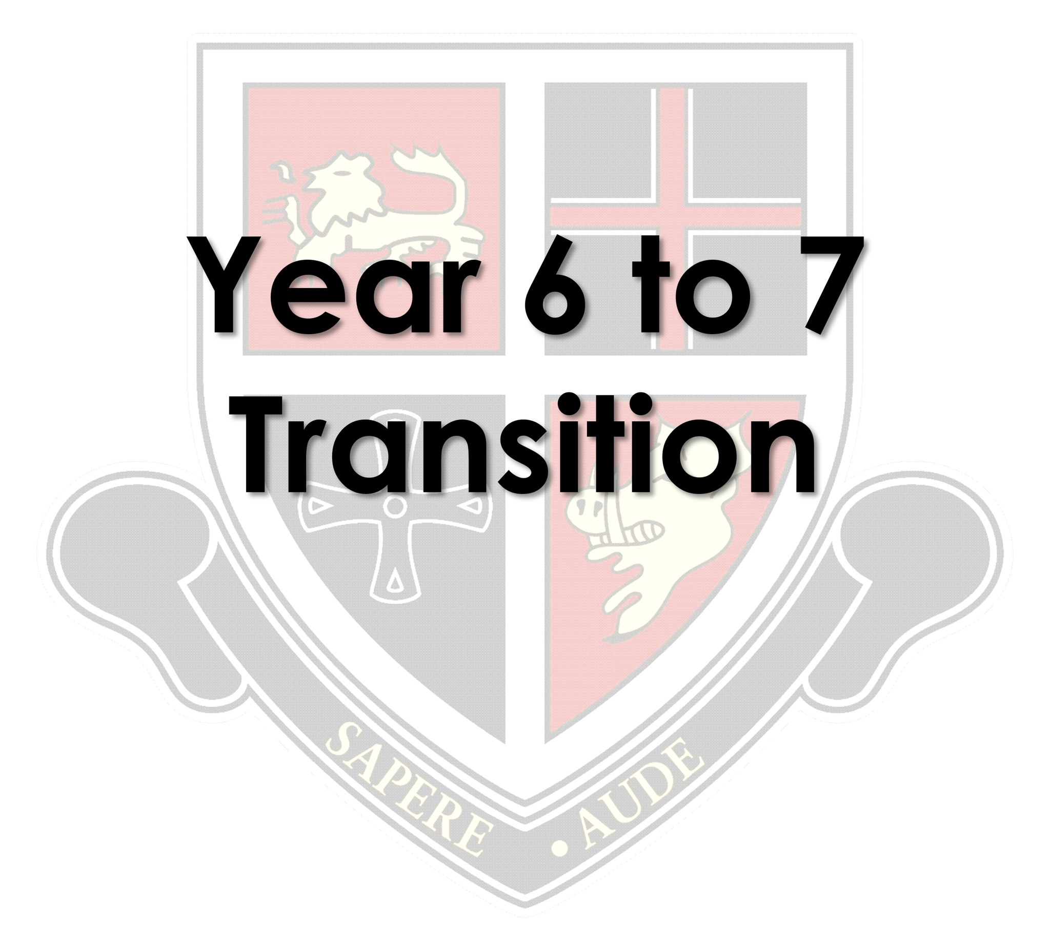 Image of Extra Transition Visit 1st September 2023