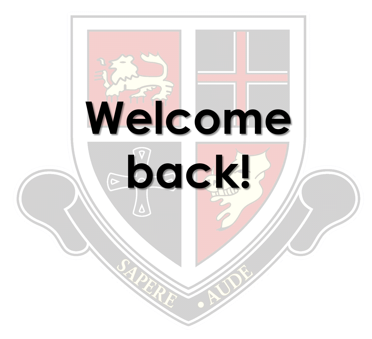 Image of Welcome Back