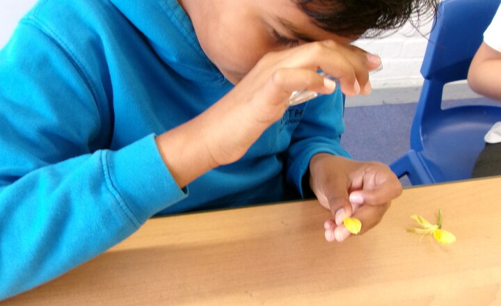 Image of Science with Rauf