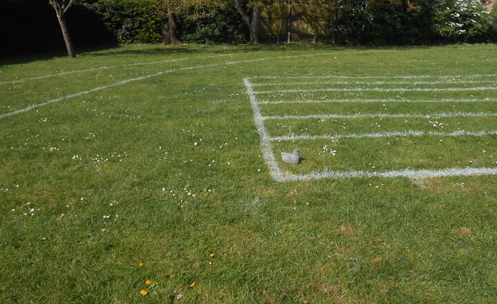 Image of 02.05.2025