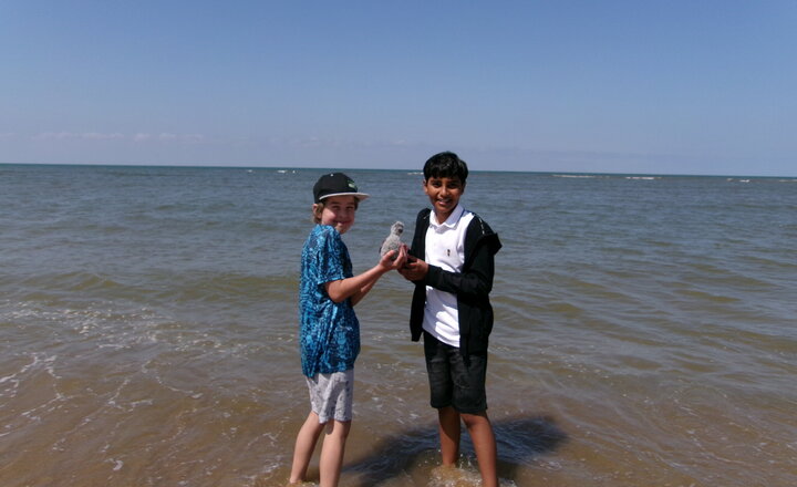 Image of Sid at Old Hunstanton