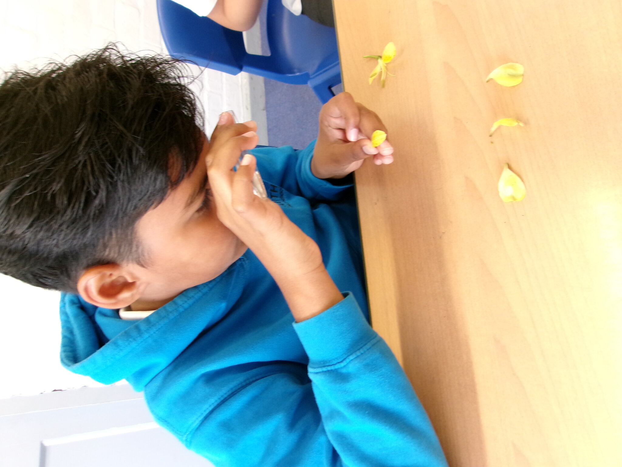 Image of Science with Rauf