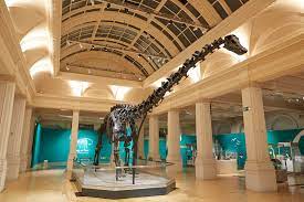 Image of Classes 7 and 9 Visit Hancock Museum 