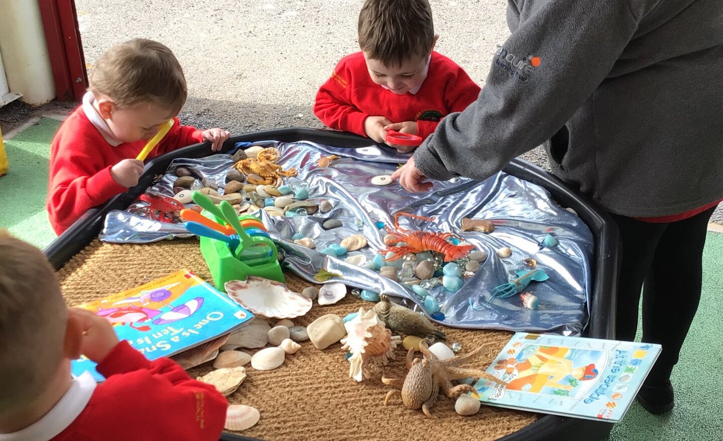 Image of Lots to see in the sea