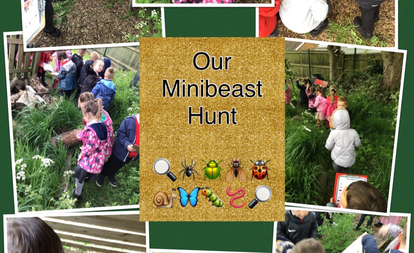 Image of Creepy crawlies galore in our Forest School area!